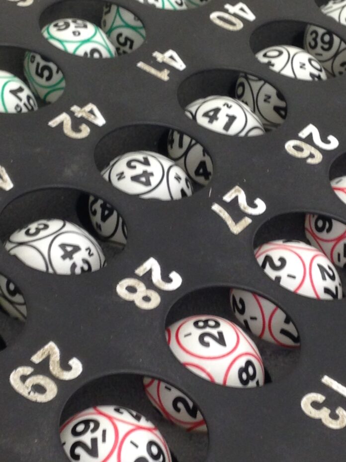 bingo 2015 2