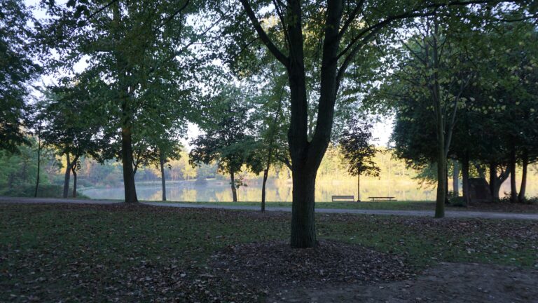 SCRCA seeking comment on their Conservation Lands Strategy, open house on June 11 in Wallaceburg