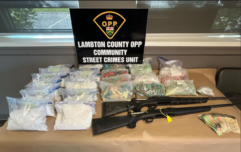 Four people face drug trafficking & weapons charges after a bust on Walpole Island