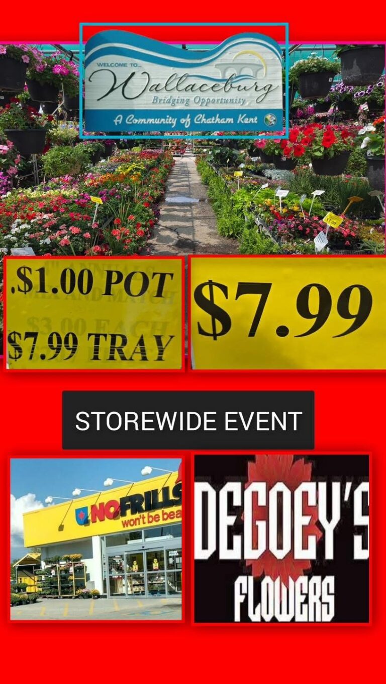 Deal starts Tuesday at No Frills Wallaceburg