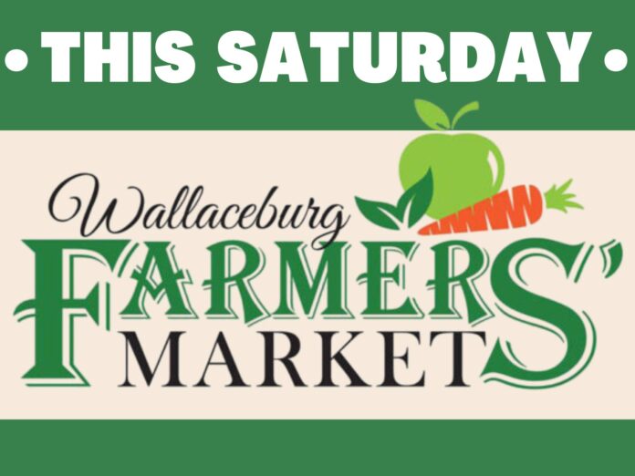 farmers market this saturday