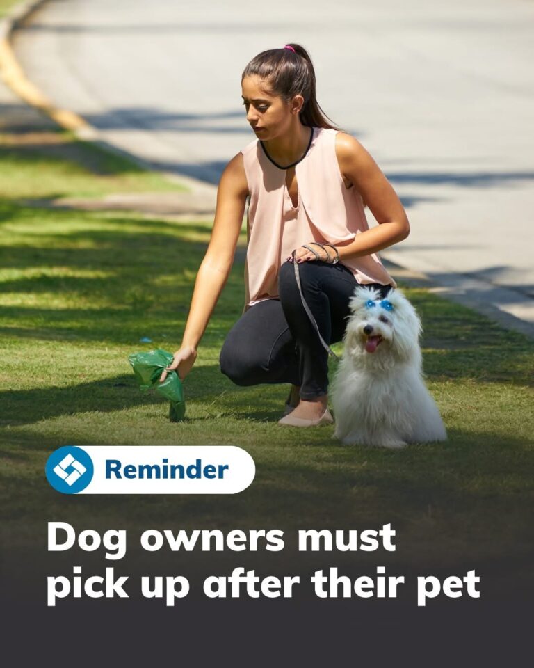 Municipality of Chatham – Kent fine for pet waste