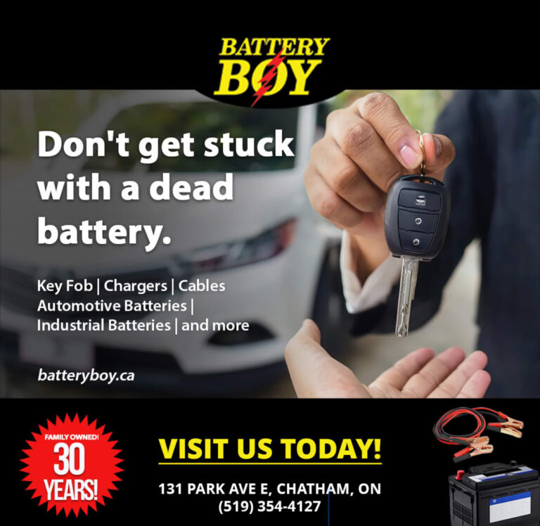 Battery Boy