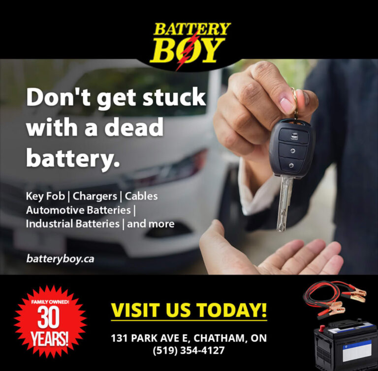 Battery Boy