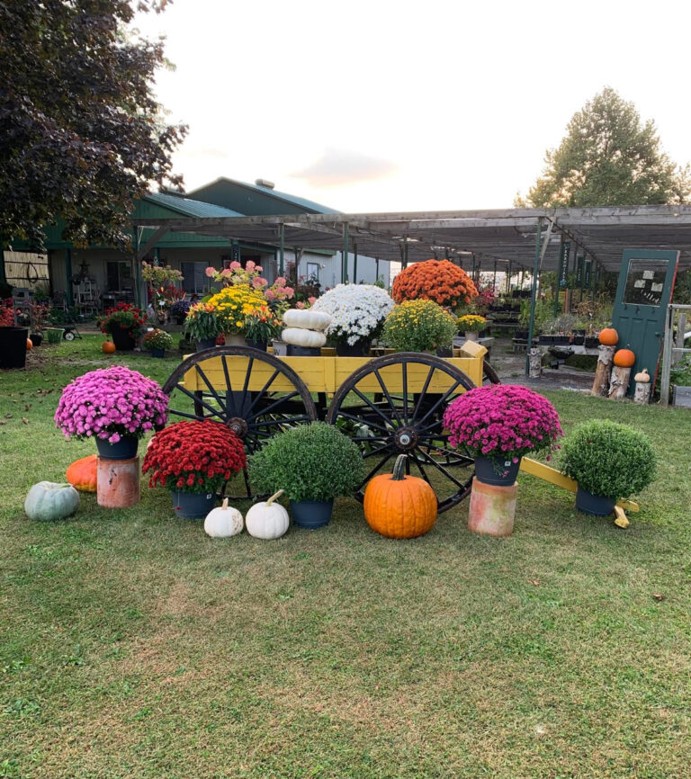 Kentwood Gardens