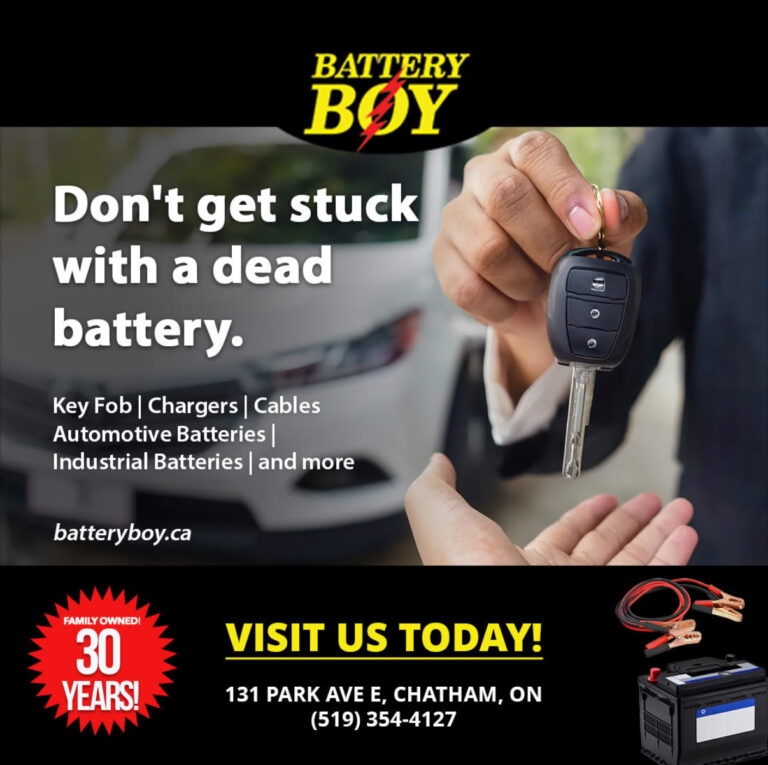 Battery Boy