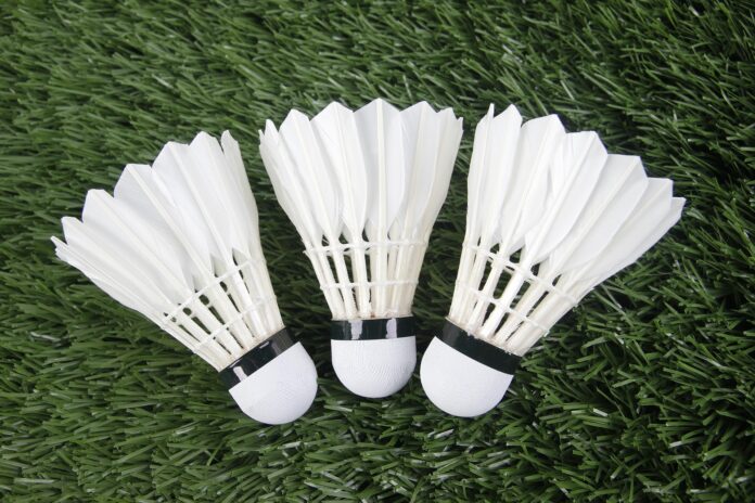 badminton-2362644_1920