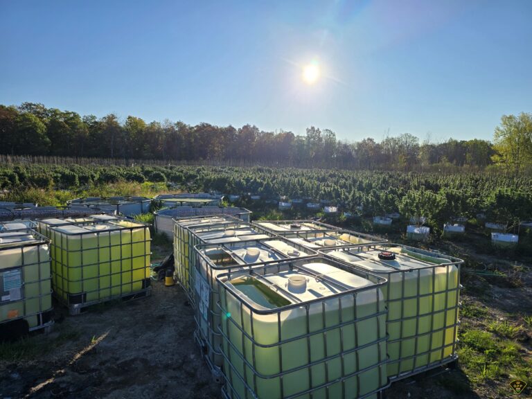 Police dismantle illicit cannabis sites on Tyendinaga Mohawk Territory