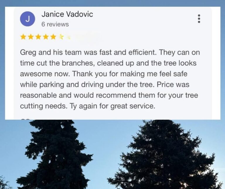 CK Tree Care 519-401-2973