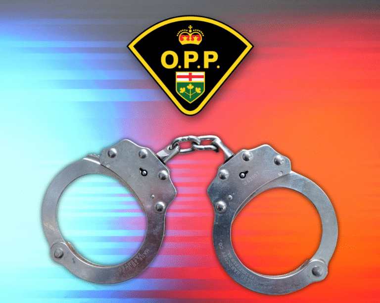 Two Chatham men among 63 charged in provincewide child exploitation crackdown