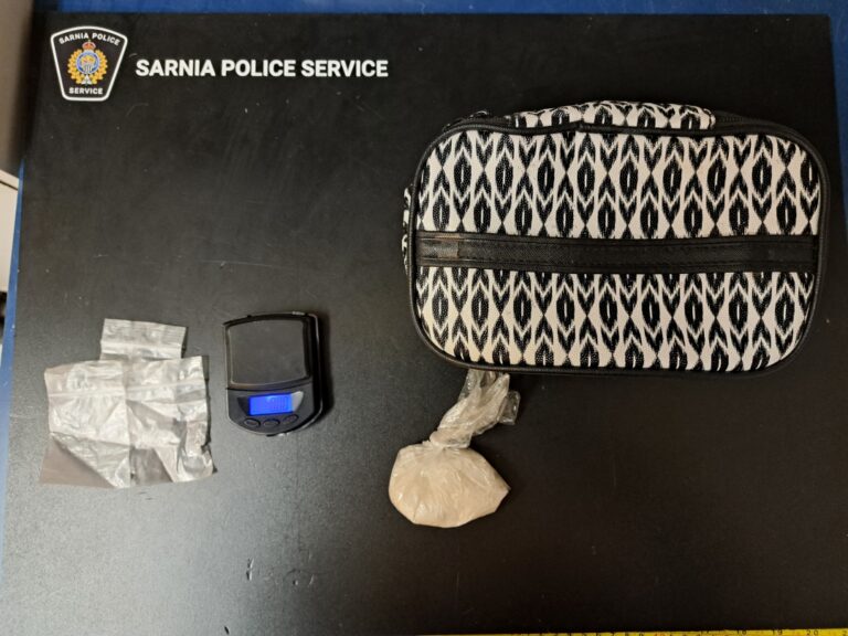 Suspended driver charged after traffic stop leads to drug trafficking ...