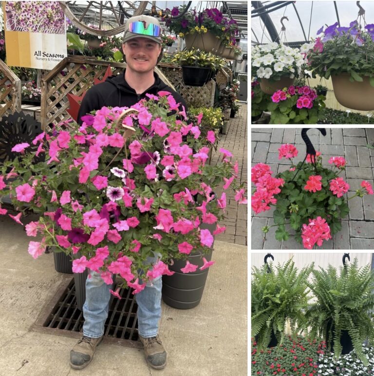 All Seasons Nursery & Flowers