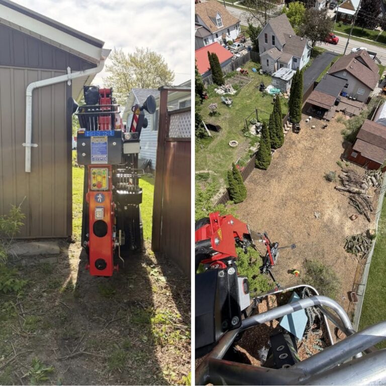 CK Tree Care 519-401-2973