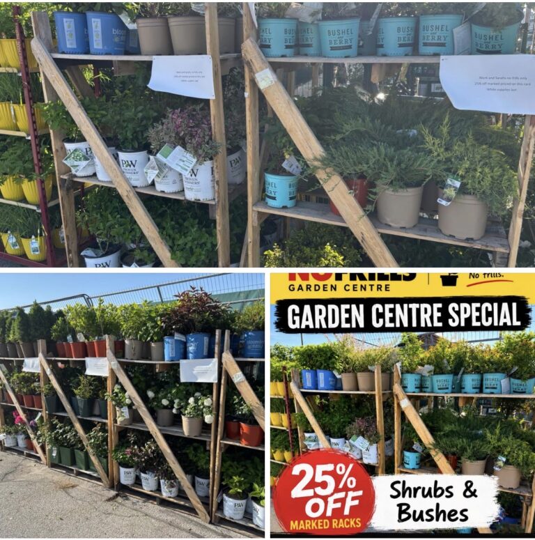 Mark And Sarah‘s No Frills Wallaceburg