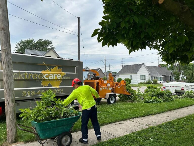 CK Tree Care