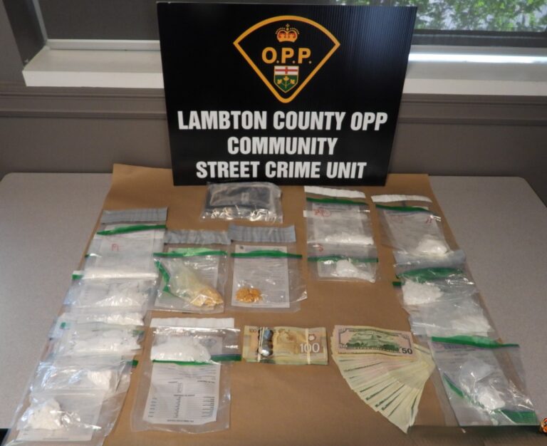 Drug trafficking investigation results in charges