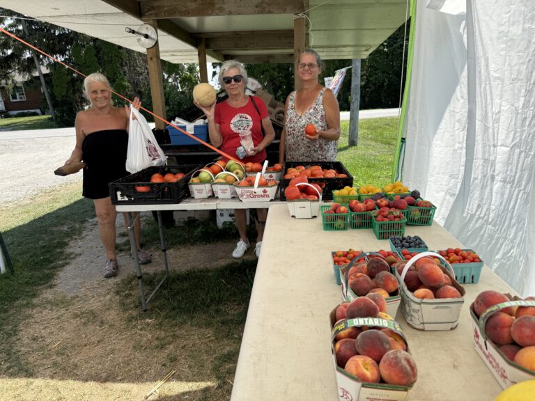 Diddly Squat Produce has Peaches