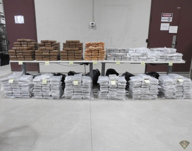 Nearly 1.7 tonnes of drugs seized in one of Ontario’s largest busts by weight