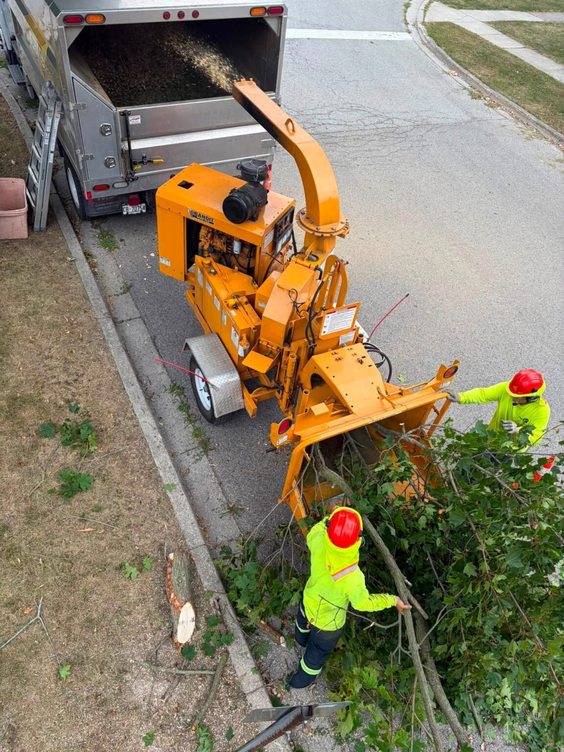 CK Tree Care 519-401-2973 | Wallaceburg News | Local news in ...