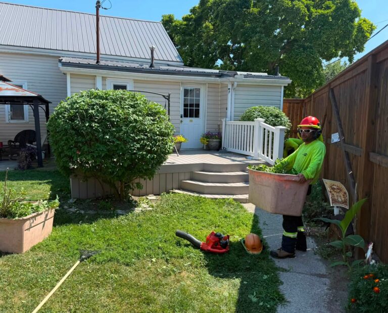 CK Tree Care