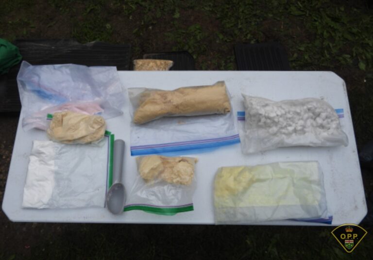 More than 6.5 kg of drugs seized in southwestern Ontario investigation