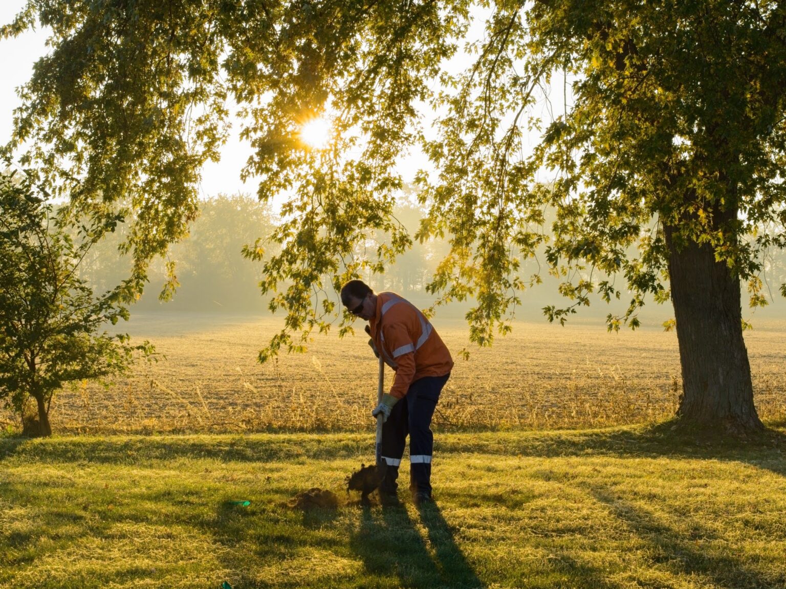 Volunteers, students plant 270 trees in four Wallaceburg parks in four ...
